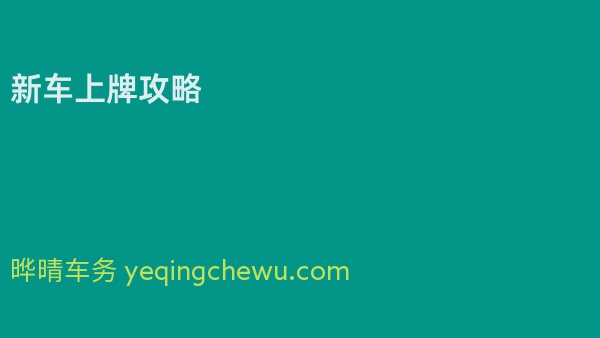 2024年新车上牌攻略