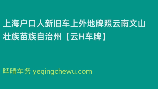 2024年上海户口人新旧车上外地牌照云南文山壮族苗族自治州【云H车牌】